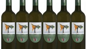 I vini DOC di Udine nel Friuli Venezia Giulia