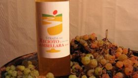 I vini DOC di Vicenza nel Veneto