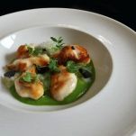 Guance di Arzilla, aglio nero fermentato, zucchine e tapioca