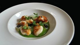Guance di Arzilla (Razza Chiodata), aglio nero fermentato, zucchine e tapioca