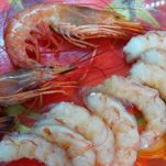 Rigatoni calamaro e gamberoni su crema di zucca