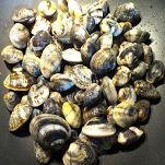 Fregola sarda, vongole, pesto e mandorle