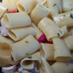 Paccheri ricciola e crema di zucchine