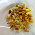 Tajine d&#8217;agnello