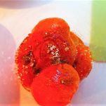 Maiale con salsa di loti