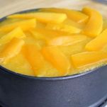 Cheesecake al mango senza forno