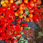 Conchiglie ai pomodorini peperone arrosto e rucola