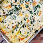 Lasagne al pollo e salsa bianca