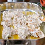 Lasagne al pollo e salsa bianca