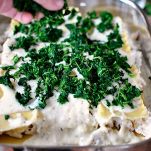 Lasagne al pollo e salsa bianca