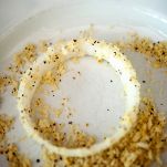 Uova negli anelli di cipolla