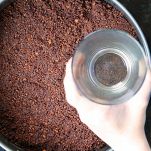 Cheesecake al cioccolato senza forno