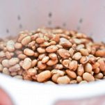 Crema di fagioli fritti