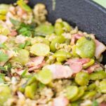 Orzo con fave e pancetta