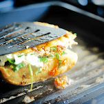 Panini al tonno e pomodori secchi