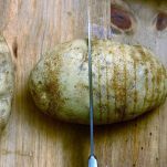 Patate