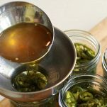 Peperoncini jalapeno sottaceto