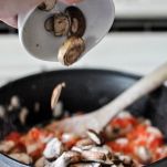 Risotto ai funghi e cacao