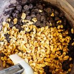 Biscotti di zucchine e cacao