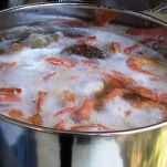 Code di scampi al limone