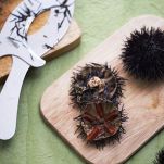 Spaghetti alle uova e ricci di mare