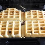 Waffel al cioccolato