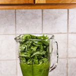 Pesto di ortiche passaggio nel frullatore