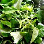 Frappè di mango verde