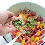 Insalata di fragole e mango