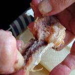 Aringhe alla calabrese