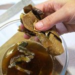 Penne alla boscaiola