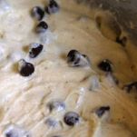 Muffin alle albicocche