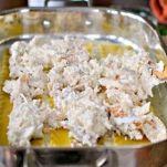 Lasagne al salmone e spinaci