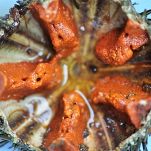 Pasta con polpa di ricci