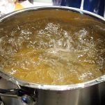 Pasta con polpa di ricci