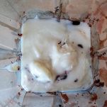 Torta alla melagrana