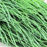 Pennoni con barba di frate