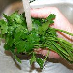 Carne cruda alla piemontese in salsa verde