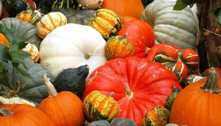 Zucca per diabetici