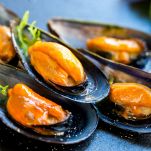 cozze