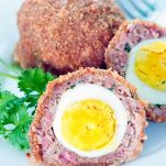 scotch-eggs