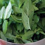 Gamberi fritti in pasta fillo