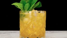 Ricetta Rum cooler