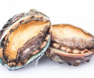 Gli abaloni sono molluschi squisiti, che possono essere consumati cotti o crudi, previa marinatura: ecco le loro proprietà nutrizionali