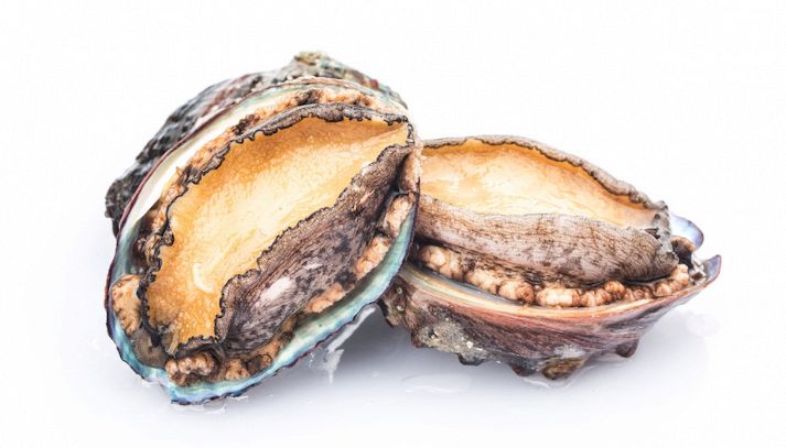 Gli abaloni sono molluschi squisiti, che possono essere consumati cotti o crudi, previa marinatura: ecco le loro proprietà nutrizionali