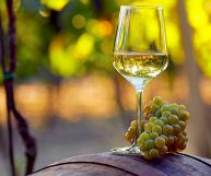 Vino Alcamo Sauvignon DOC