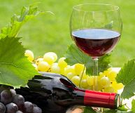 Bicchiere di vino Alezio Rosso DOC