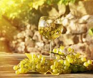 Vino Alghero DOC Torbato