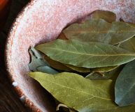 Un'erba aromatica conosciuta per il suo sapore e le sue proprietà benefiche, come si usa l'alloro (lauro) secco in cucina