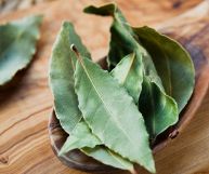 l'alloro (lauro) è un ingrediente ottimo per tante ricette